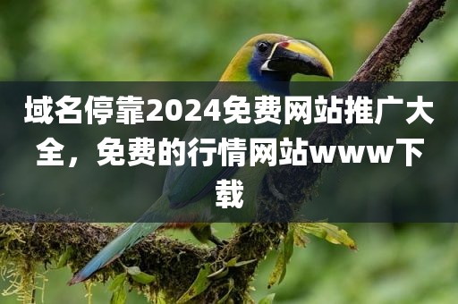 域名停靠2024免费网站推广大全，免费的行情网站www下载