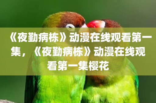 《夜勤病栋》动漫在线观看第一集，《夜勤病栋》动漫在线观看第一集樱花