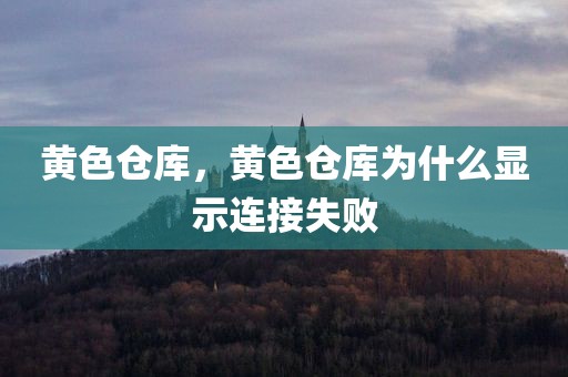 黄色仓库，黄色仓库为什么显示连接失败