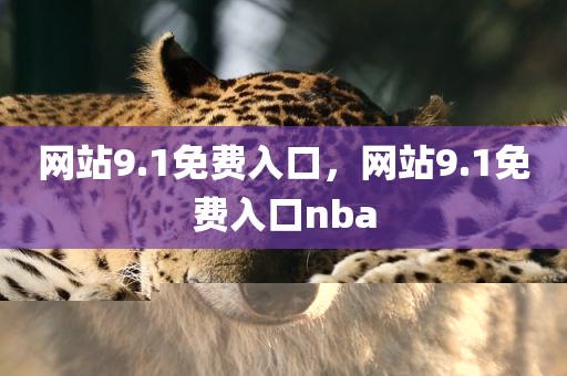 网站9.1免费入口，网站9.1免费入口nba