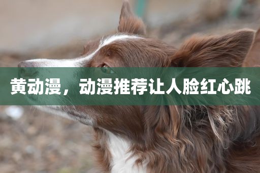 黄动漫，动漫推荐让人脸红心跳