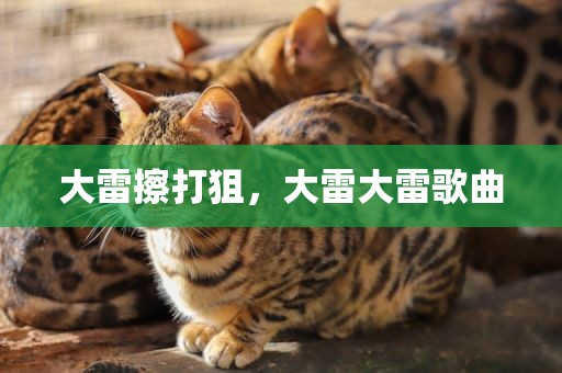 大雷擦打狙，大雷大雷歌曲