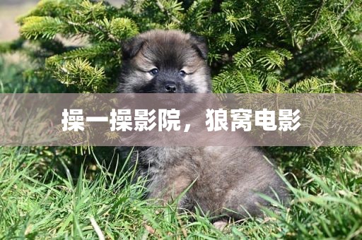 操一操影院，狼窝电影