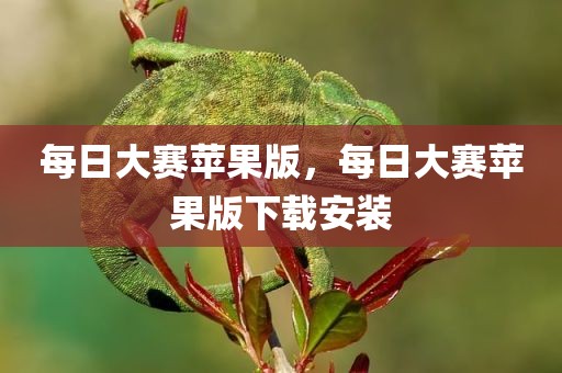 每日大赛苹果版，每日大赛苹果版下载安装