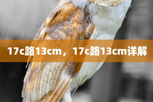 17c路13cm，17c路13cm详解