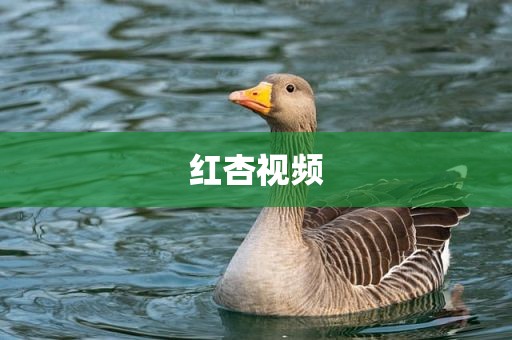 红杏视频