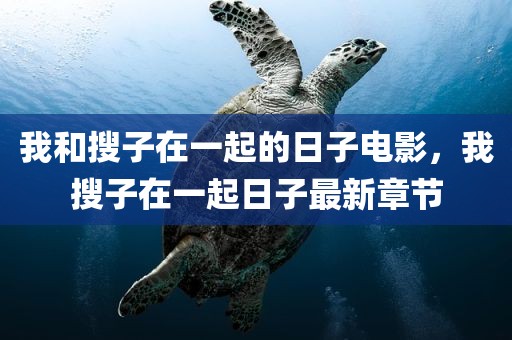 我和搜子在一起的日子电影，我搜子在一起日子最新章节