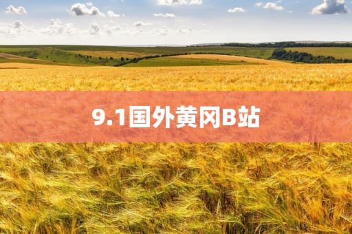 9.1国外黄冈B站