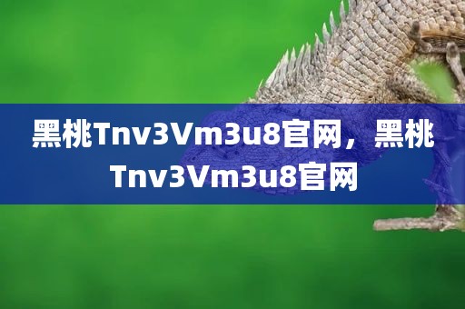 黑桃Tnv3Vm3u8官网，黑桃Tnv3Vm3u8官网