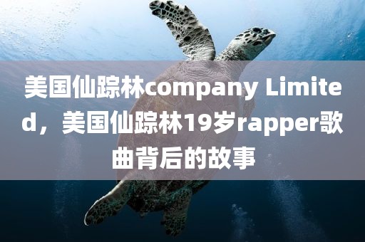 美国仙踪林company Limited，美国仙踪林19岁rapper歌曲背后的故事