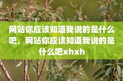 网站你应该知道我说的是什么吧，网站你应该知道我说的是什么吧xhxh