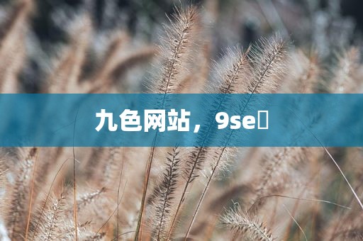 九色网站，9se 