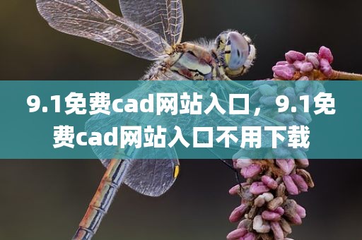 9.1免费cad网站入口，9.1免费cad网站入口不用下载