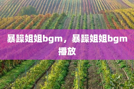 暴躁姐姐bgm，暴躁姐姐bgm播放