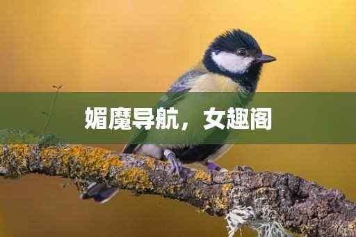 媚魔导航，女趣阁