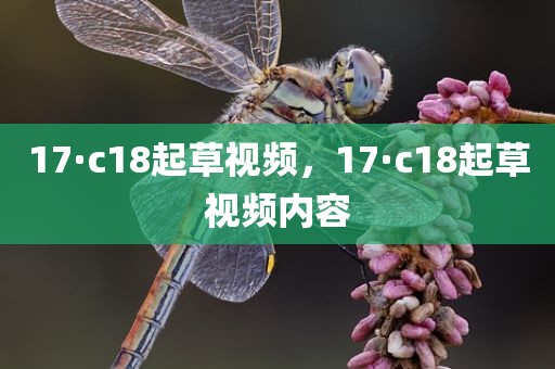 17·c18起草视频，17·c18起草视频内容