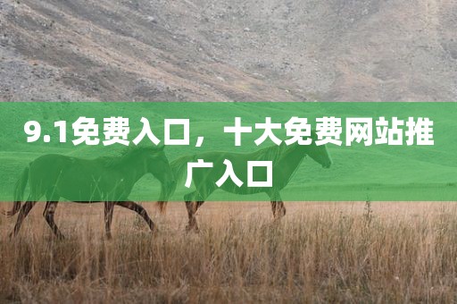 9.1免费入口，十大免费网站推广入口