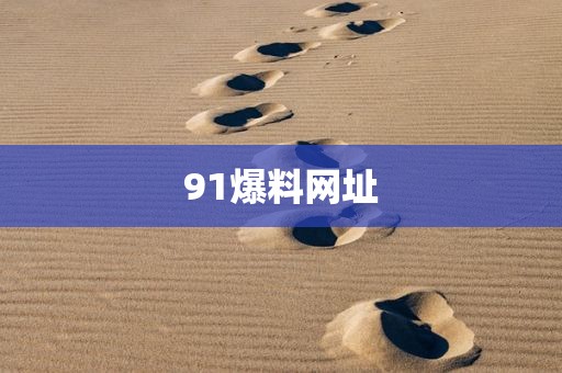 91爆料网址