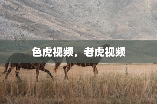 色虎视频，老虎视频