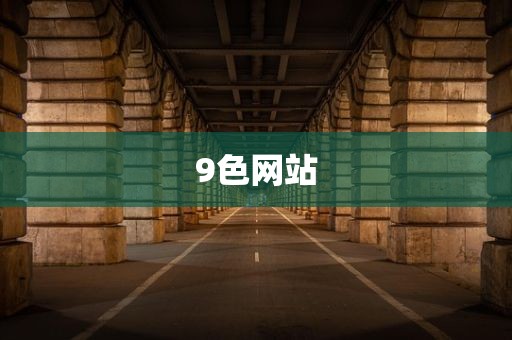 9色网站