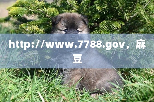 http://www.7788.gov，麻豆