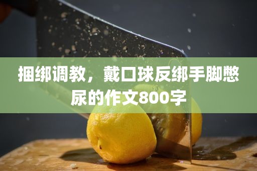 捆绑调教，戴口球反绑手脚憋尿的作文800字