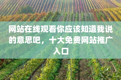 网站在线观看你应该知道我说的意思吧，十大免费网站推广入口
