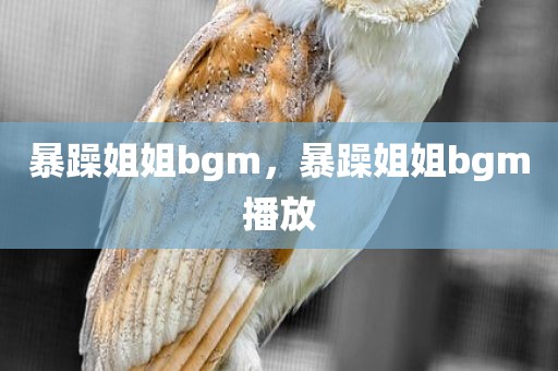 暴躁姐姐bgm，暴躁姐姐bgm播放