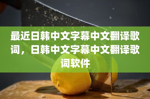 最近日韩中文字幕中文翻译歌词，日韩中文字幕中文翻译歌词软件