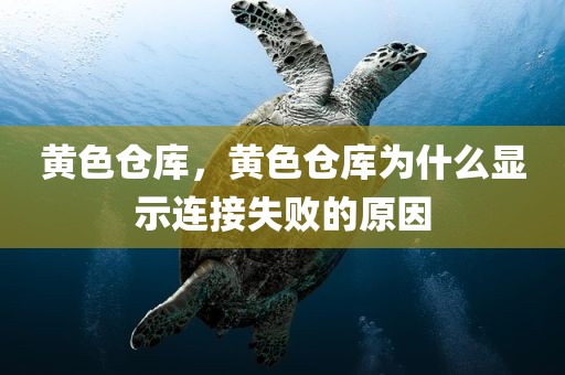 黄色仓库，黄色仓库为什么显示连接失败的原因