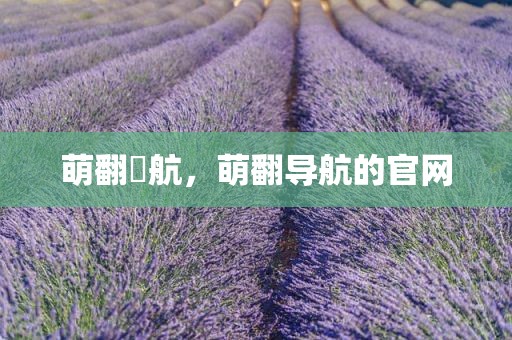 萌翻導航，萌翻导航的官网