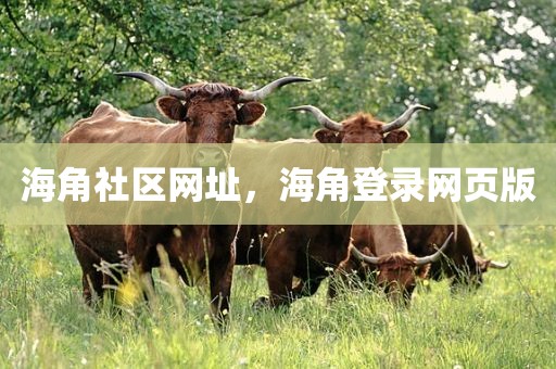海角社区网址，海角登录网页版