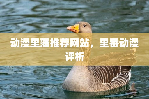 动漫里藩推荐网站，里番动漫评析