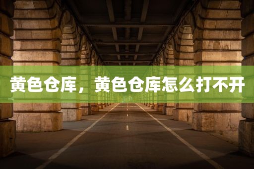 黄色仓库，黄色仓库怎么打不开