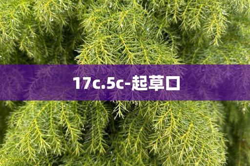 17c.5c-起草口