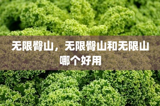 无限臀山，无限臀山和无限山哪个好用