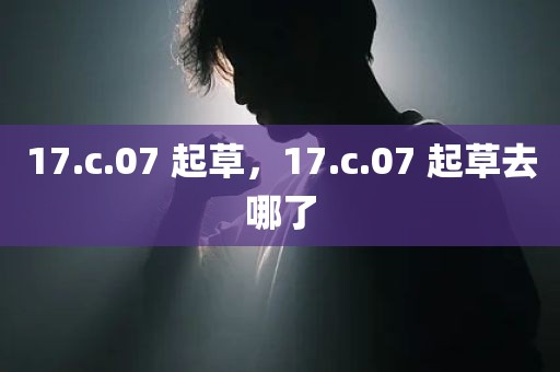 17.c.07 起草，17.c.07 起草去哪了