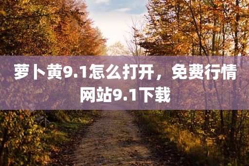 萝卜黄9.1怎么打开，免费行情网站9.1下载