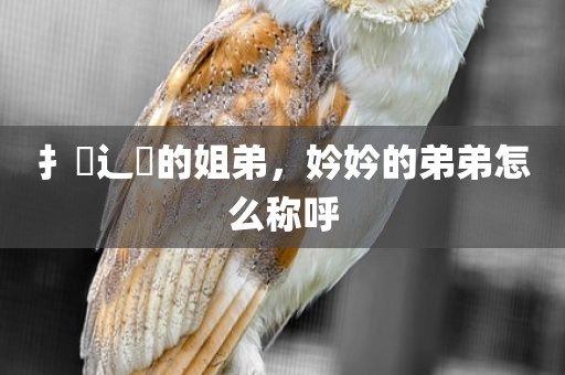 扌臿辶畐的姐弟，妗妗的弟弟怎么称呼