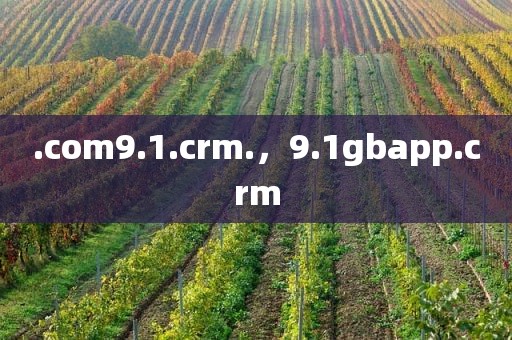 .com9.1.crm.，9.1gbapp.crm