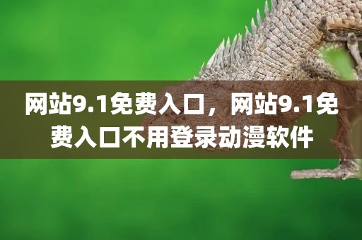 网站9.1免费入口，网站9.1免费入口不用登录动漫软件