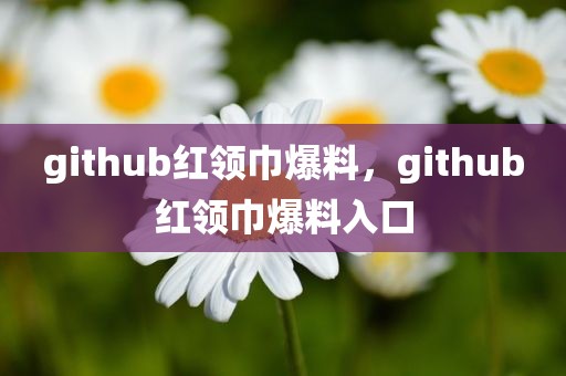 github红领巾爆料，github红领巾爆料入口