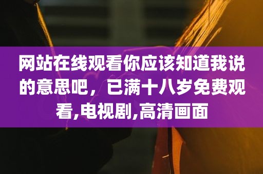 网站在线观看你应该知道我说的意思吧，已满十八岁免费观看,电视剧,高清画面