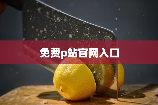 免费p站官网入口