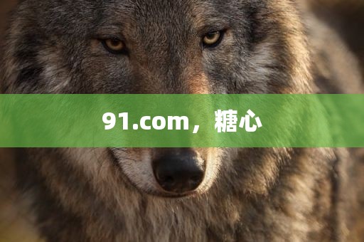 91.com，糖心