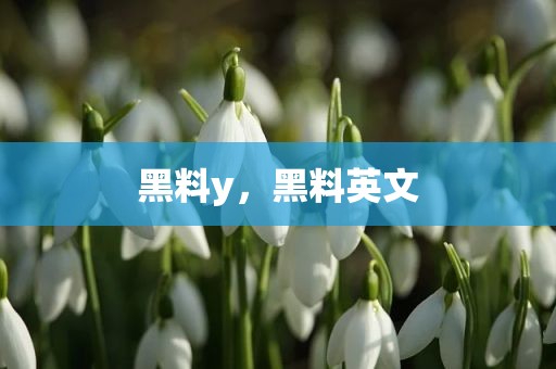 黑料y，黑料英文