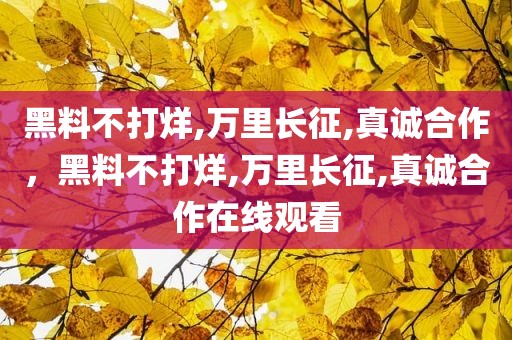 黑料不打烊,万里长征,真诚合作，黑料不打烊,万里长征,真诚合作在线观看