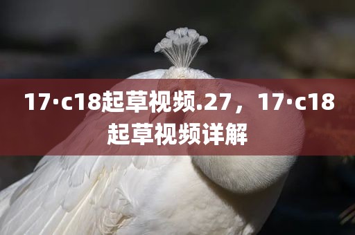 17·c18起草视频.27，17·c18起草视频详解