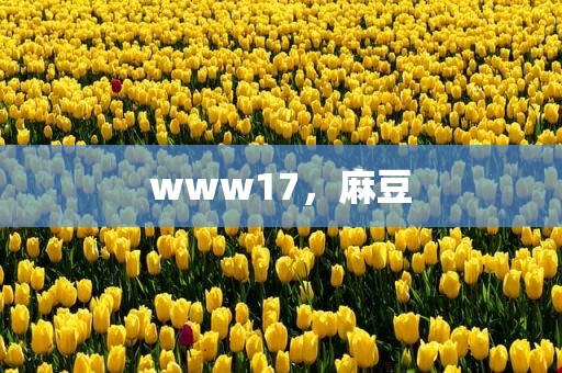 www17，麻豆