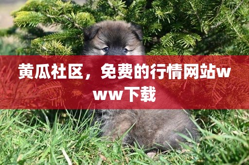 黄瓜社区，免费的行情网站www下载